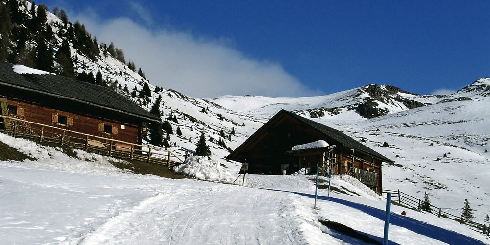 CAI - Sez.San Vito di Cadore - Escursione Invernale- Alpe di Tesselberg