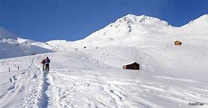 CAI - Sez.San Vito di Cadore - Escursione Invernale 2019  Salita al Fellhorn (2518) m.