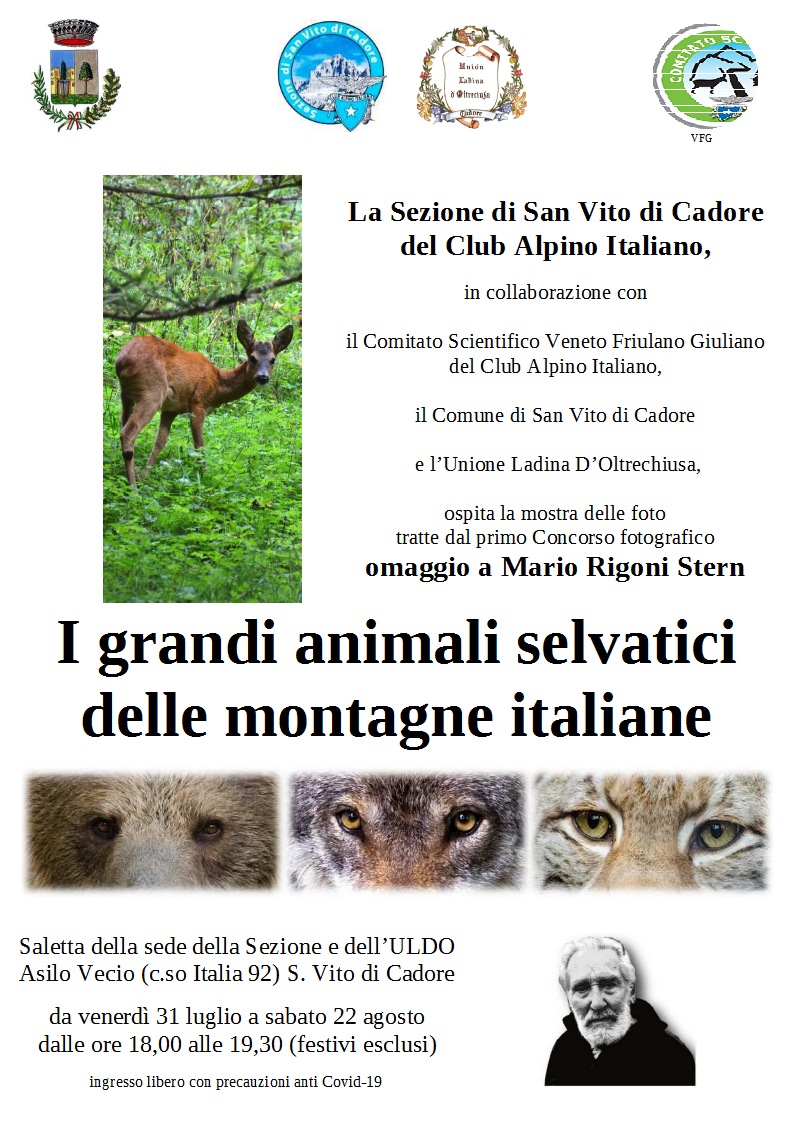 CAI - Sez.San Vito di Cadore -Attività Estate 2020